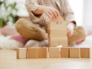 Loja de Brinquedos Educativos em Madeira na Casa Verde